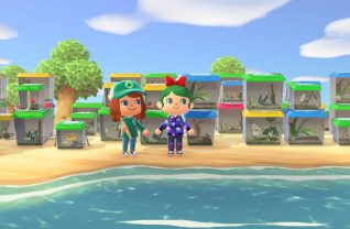 Animal Crossing New Horizons (2)