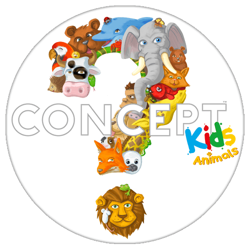 Concept voor kids bordspel