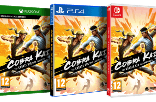 Cobra Kai The Karate Kid Saga Continues