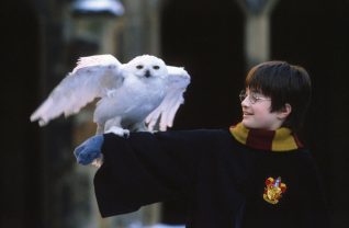 Harry Potter Speelgoed