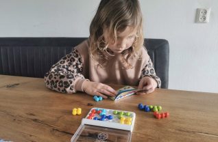 IQ Twins van Smart Games