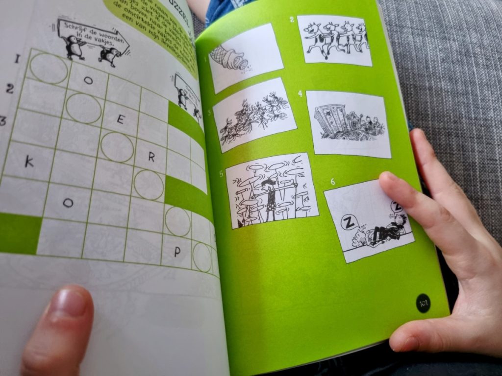 Het waanzinnige doeboek