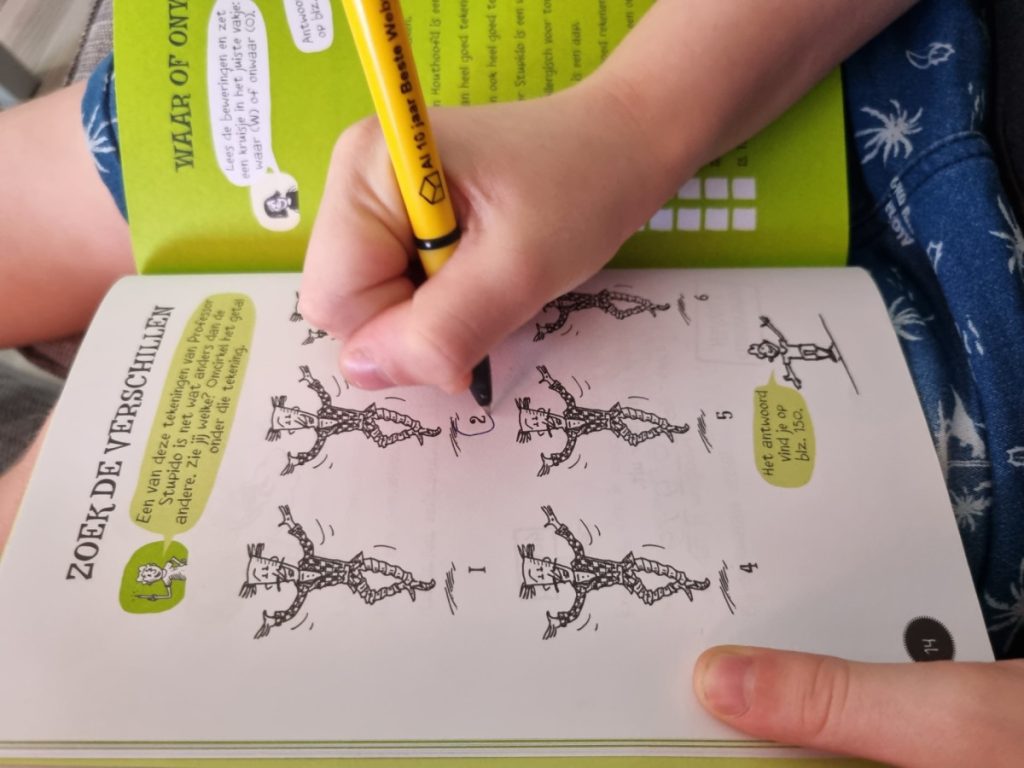 Het waanzinnige doeboek