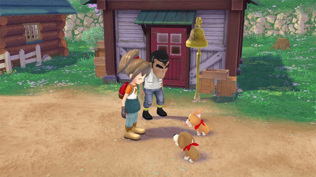 Story of Seasons A Wonderful Life