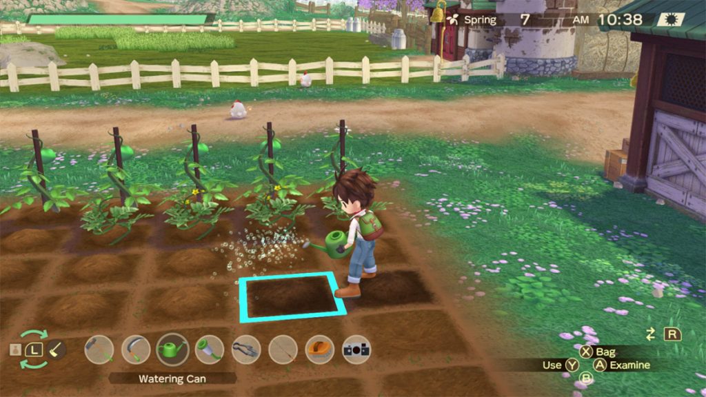 Story of Seasons A Wonderful Life