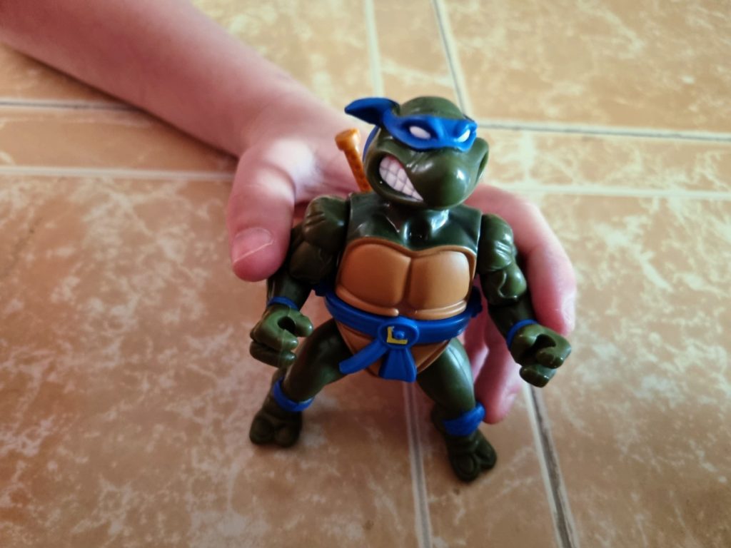 Teenage Mutant Ninja Turtles 6